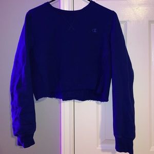 Vintage champion cropped hoodie